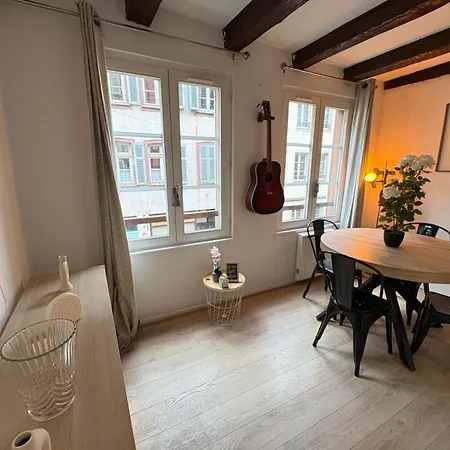 Evasion Strasbourgeoise - Confort Et Charme Au Grand Rue Strasburgo